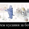 57f70b50925e797d81563e6bf38 57f70b50925e797d81563e6bf38
