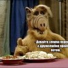 Сперва перекусим