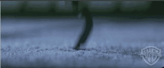 не дождалась