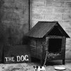 The Dog