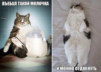 молочка и можна атдахнуть))))))