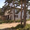 пеликан2 пеликан2