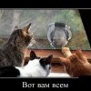 Вот, вам всем Вот, вам всем