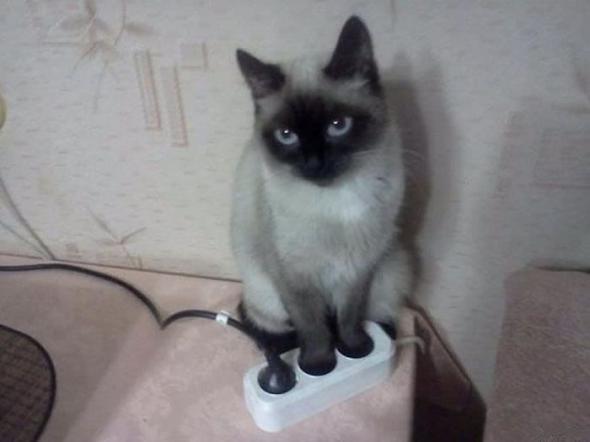 61c89a7344515f0ed4ec5cc72f4 prev