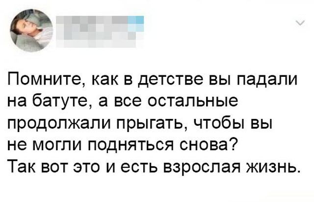 Взрослая жизнь