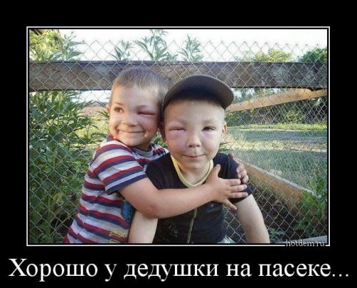 У дедушки на пасеке