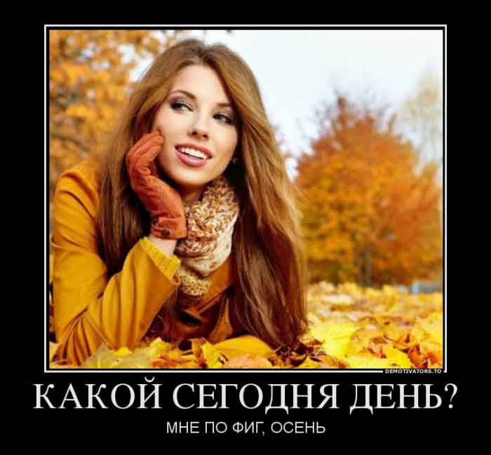 Какой сегодня день
