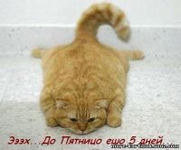 понедельник понедельник