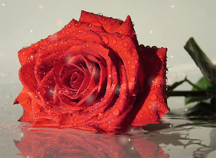 для Шветки для Шветки