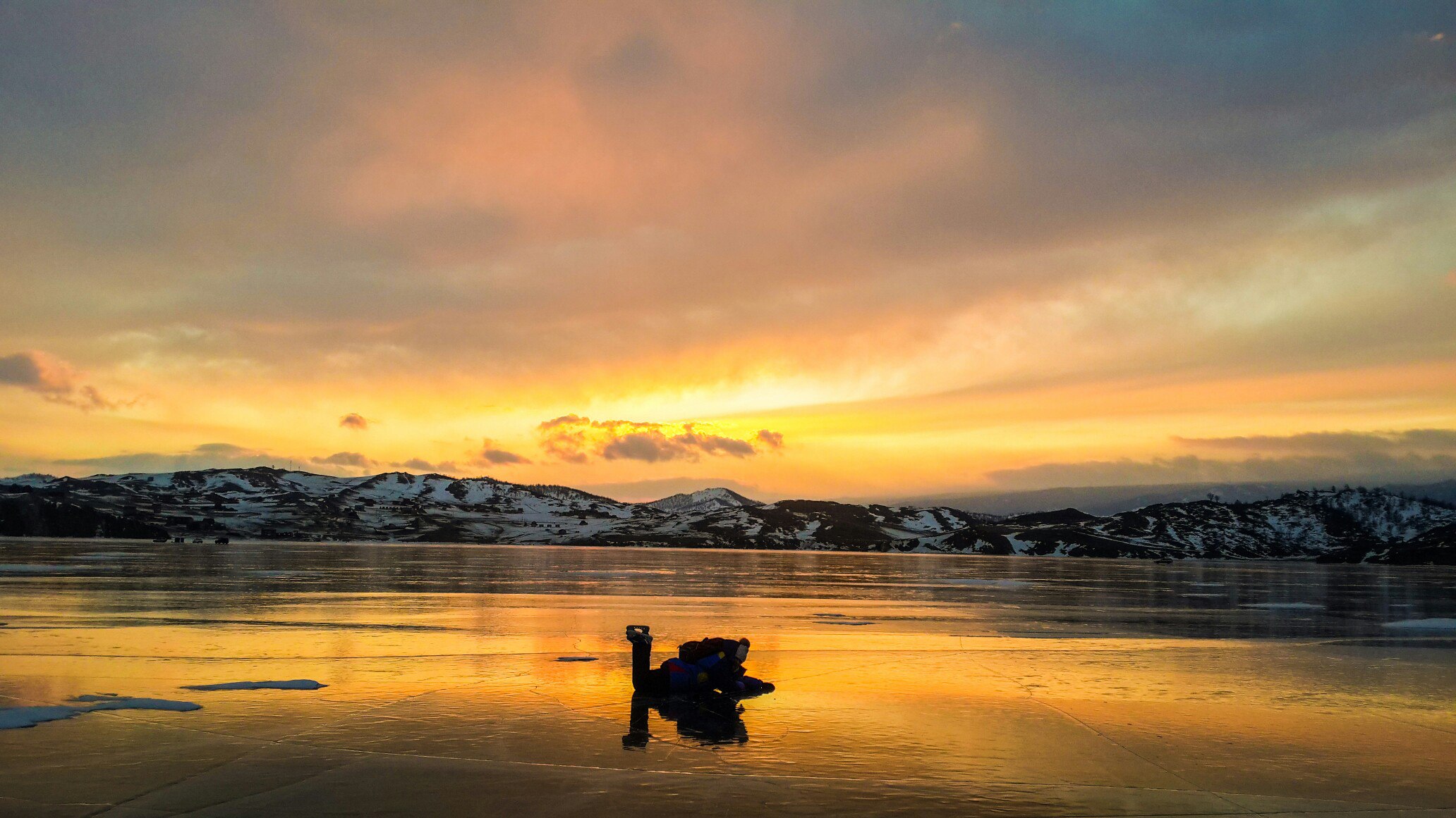 Лебедь в золотом