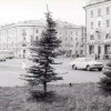 Когда ели были маленькими Когда ели были маленькими