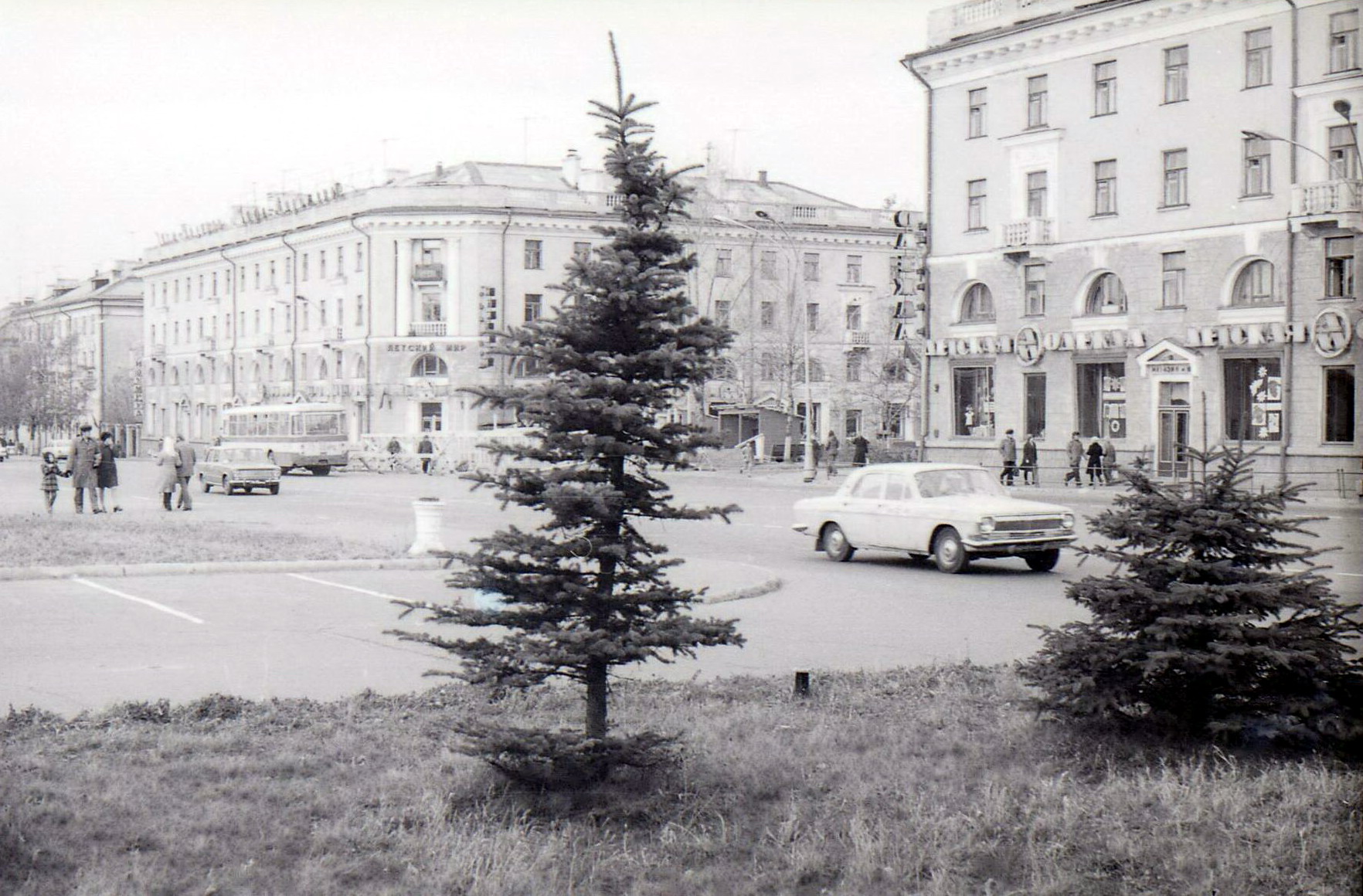 Когда ели были маленькими