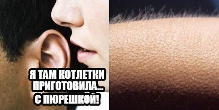 Котлетки...
