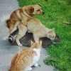 обнимашки )) обнимашки ))