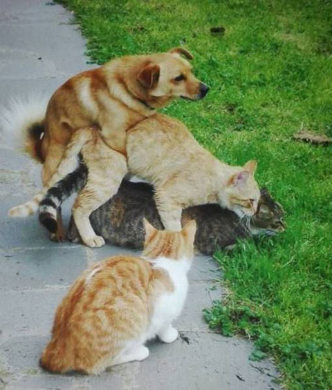 обнимашки ))