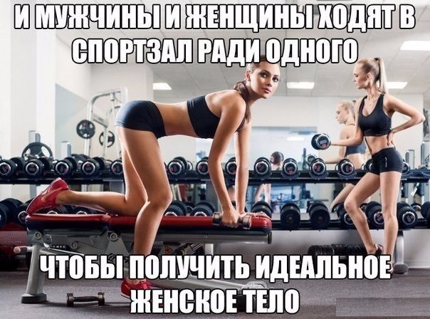 Поход в спортзал