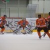 IMG 8819