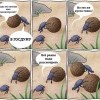 Проект