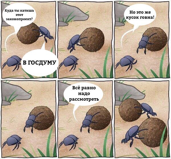Проект