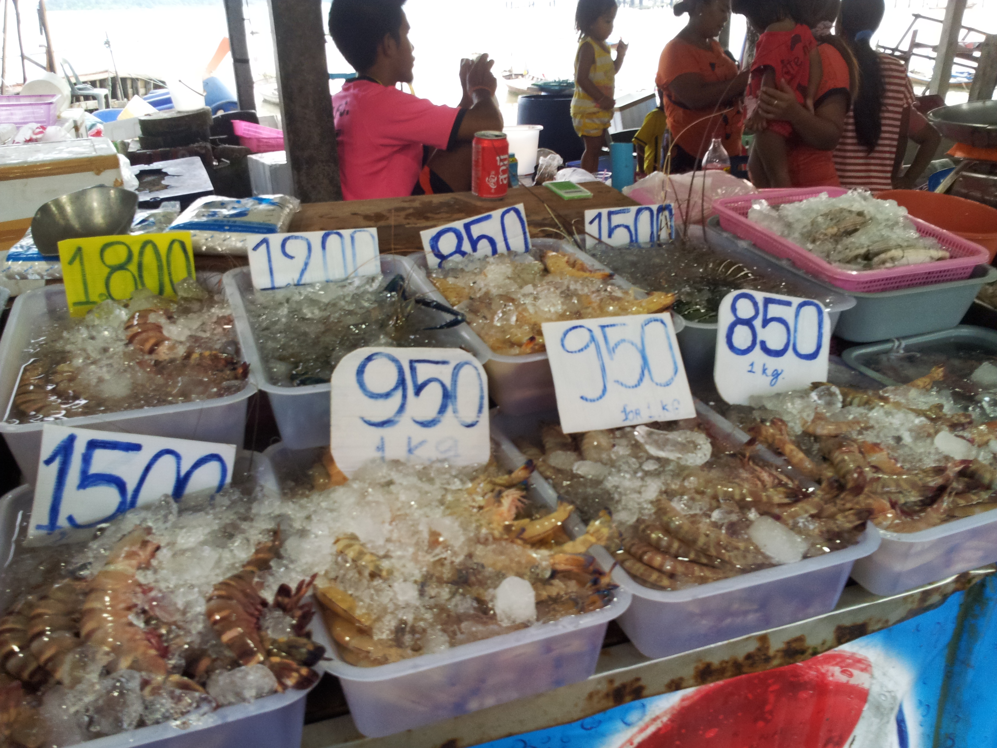 Гады. Морские.