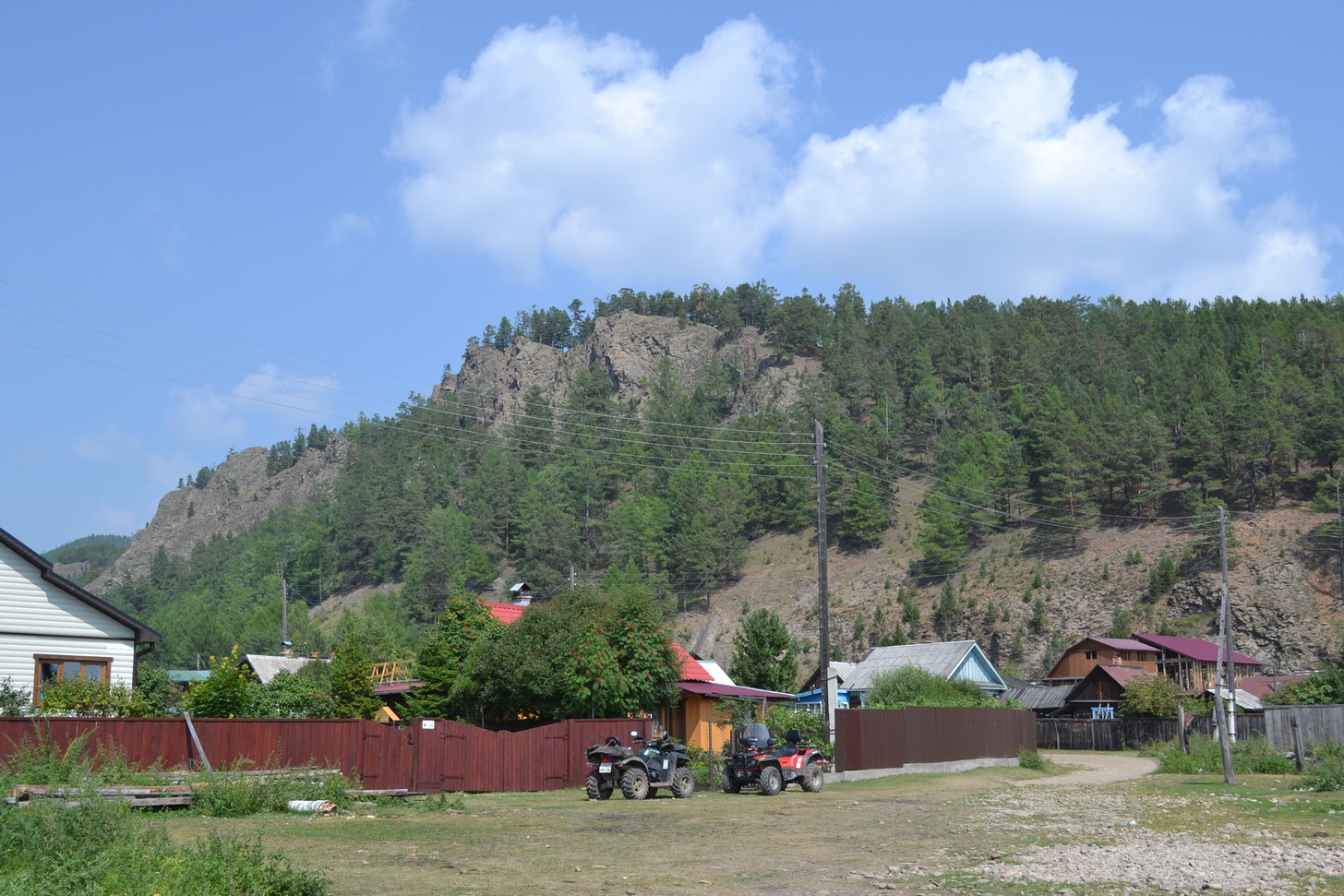 Большие КОты))))))