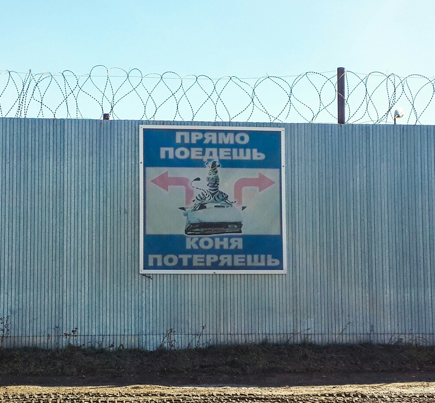 Коня потеряешь