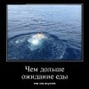 Ожидание еды Ожидание еды