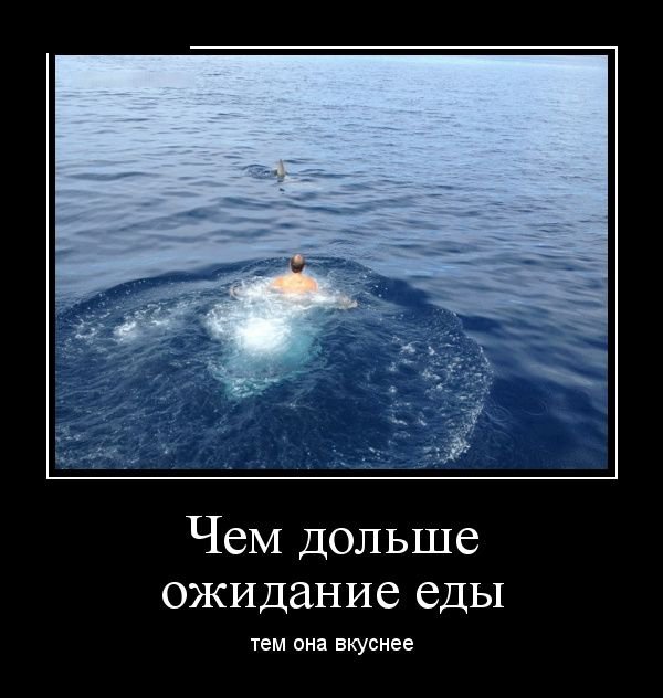 Ожидание еды