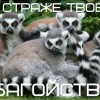 на страже збагойствия)))) на страже збагойствия))))