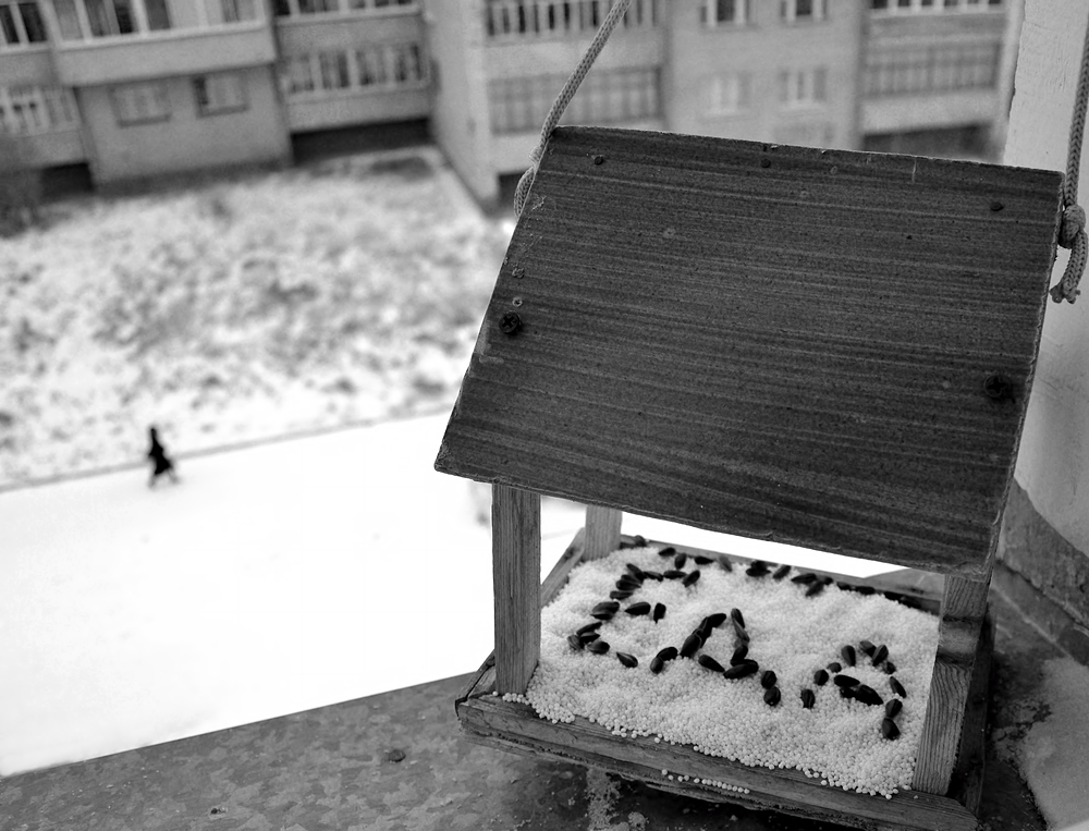 Фото №2 - Завтрак синички