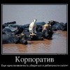 Корпоратив Корпоратив
