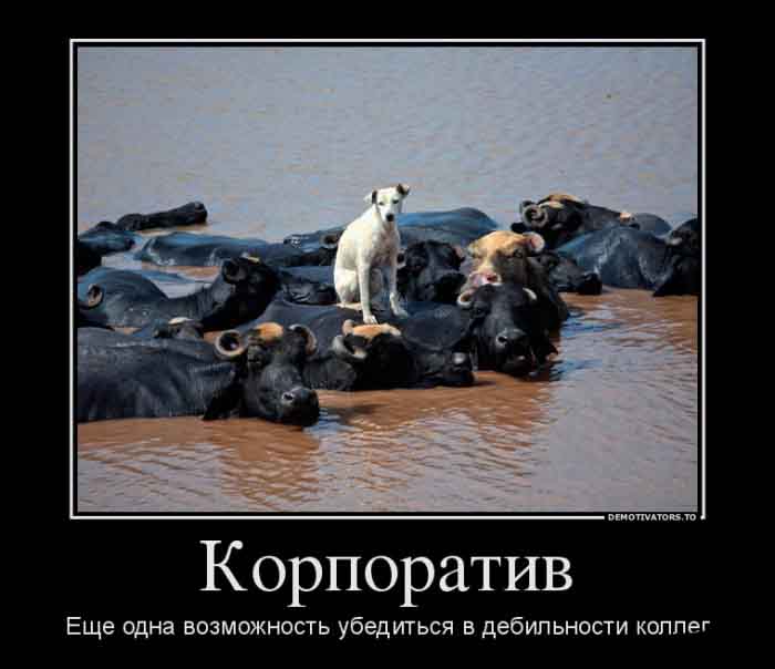 Корпоратив