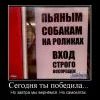 109481 segodnya-tyi-pobedila 109481 segodnya-tyi-pobedila
