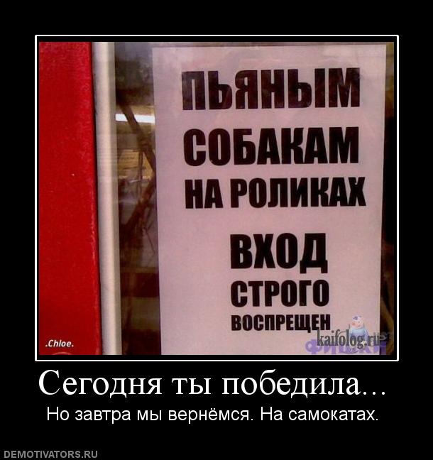 109481 segodnya-tyi-pobedila