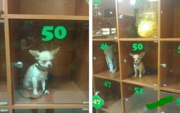 в магазине..