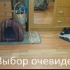 Выбор Выбор