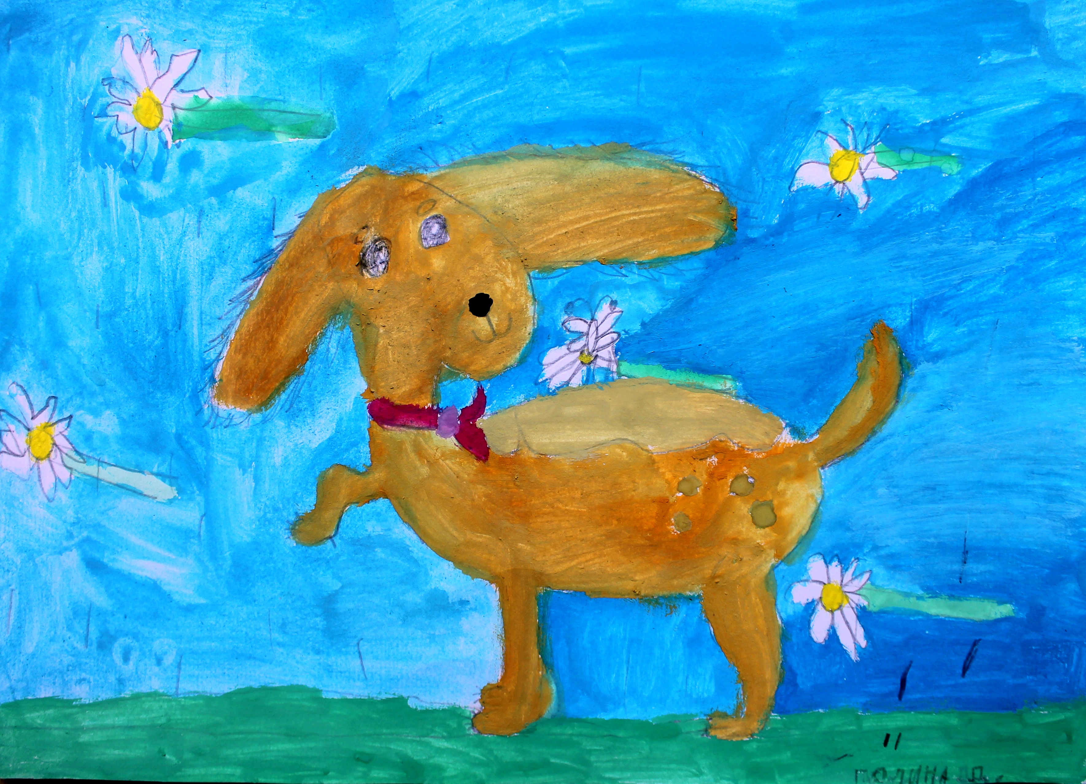 Дзирко Полина