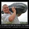 Главная проблема осени