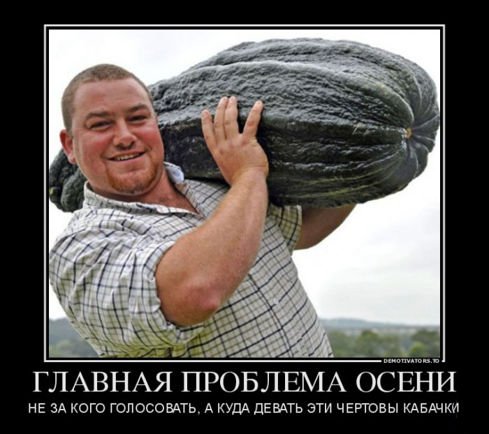 Главная проблема осени