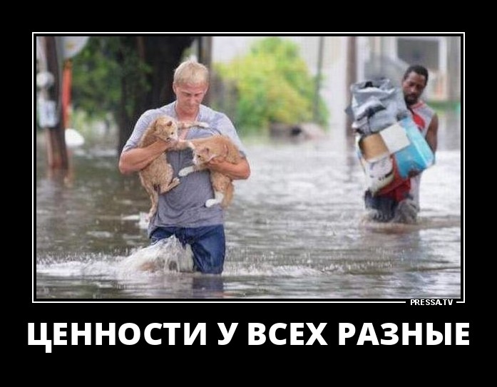 Ценности у всех разные