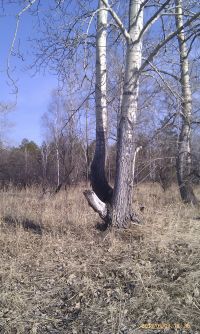 О многом заставляит зодумаца)))) О многом заставляит зодумаца))))