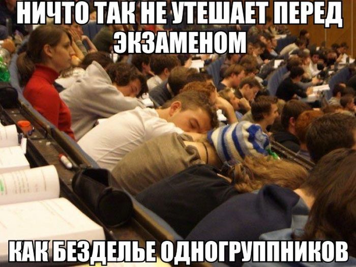 Утешение перед экзаменом