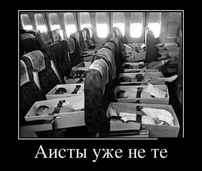Аисты...