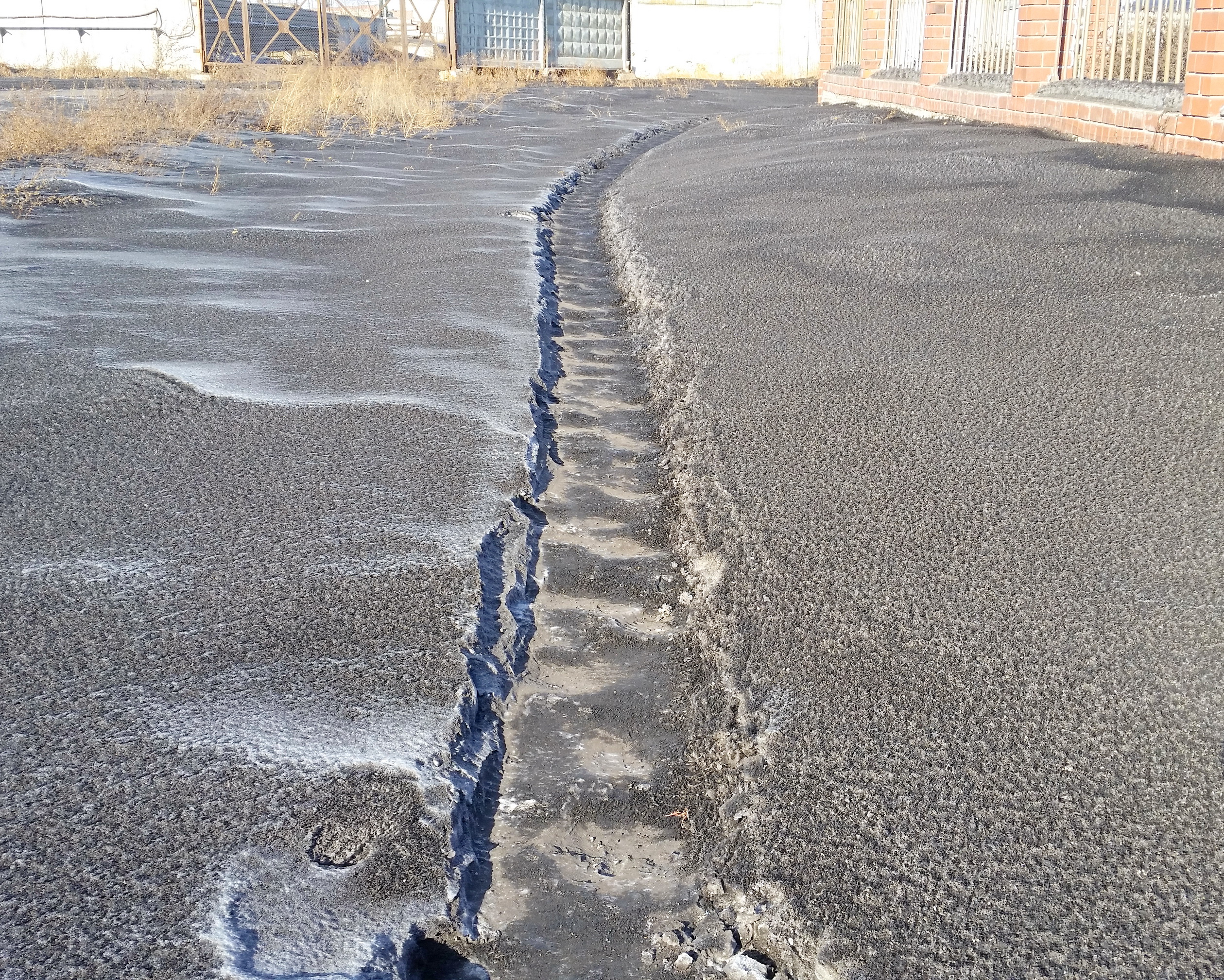 тропка снежнофевральская))))))