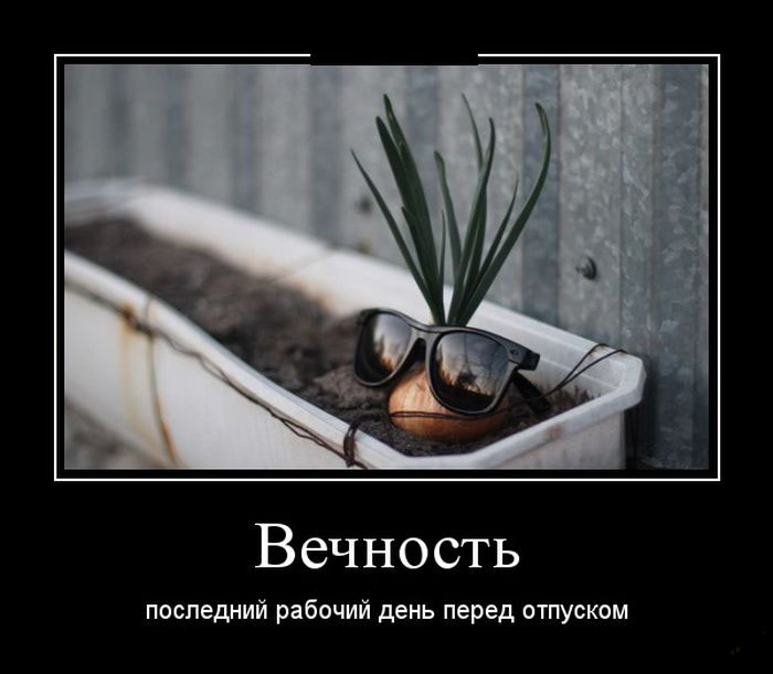 Вечность