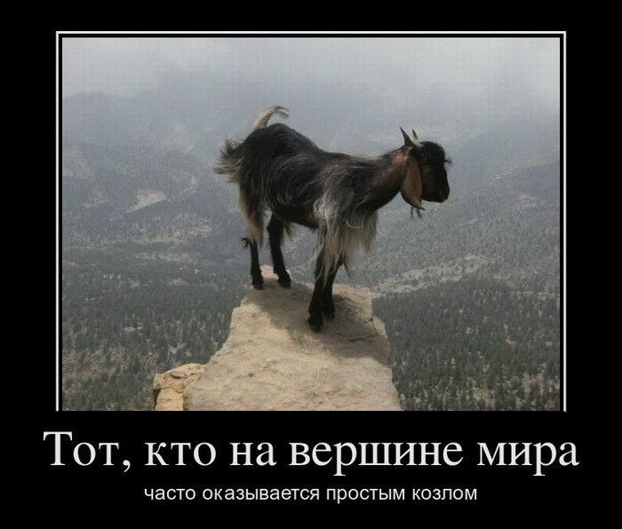 Просто-козел