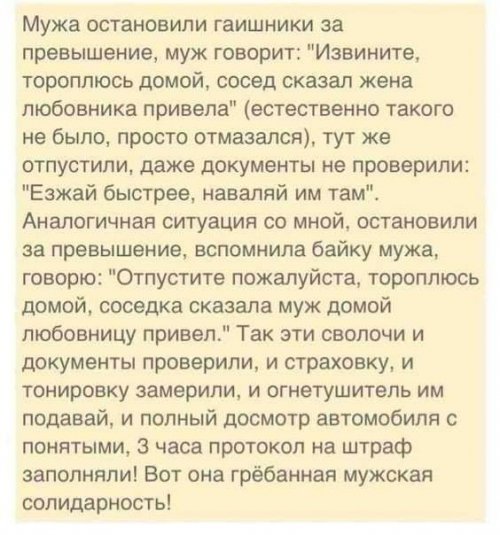 Мужская солидарность