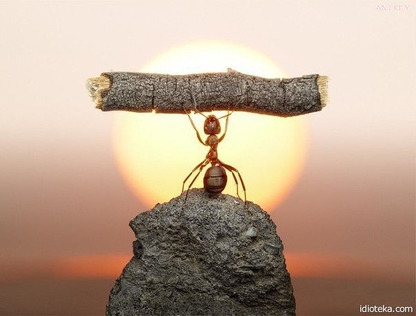 Просто красиво...