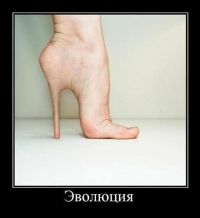 Ивалюцыя)))))