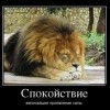 Спокойствие Спокойствие